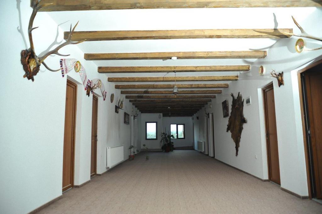 Maison d'hôtes Pensiunea Doli
